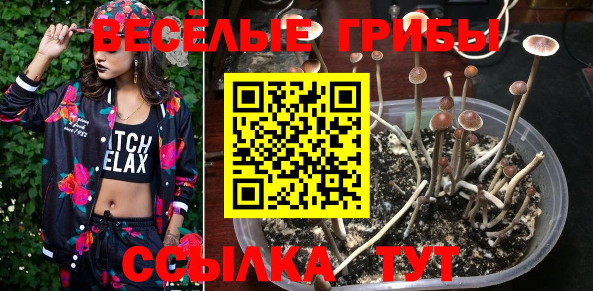 Псилоцибиновые грибы мухоморы Киров
