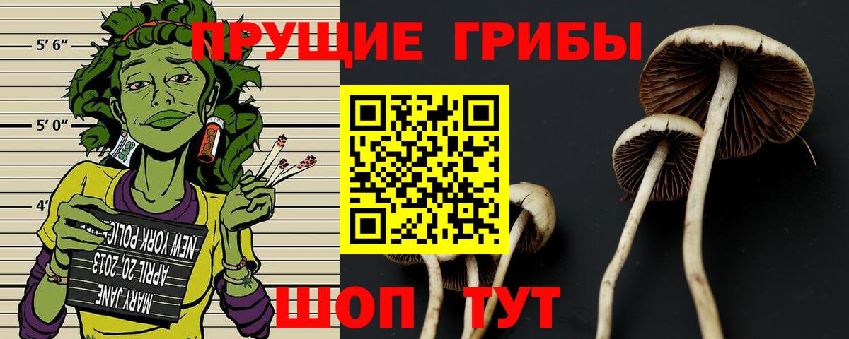 Киров  Галлюциногенные грибы мухоморы  купить закладку  Вход с VPN  Псилоцибиновые грибы мухоморы 