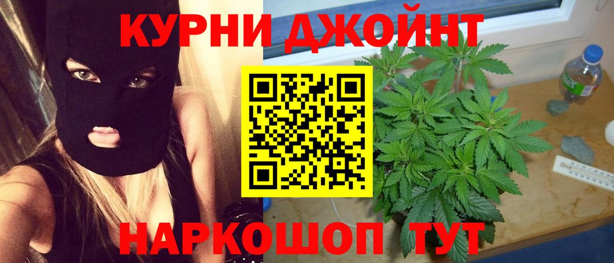 Бошки Шишки сатива Киров